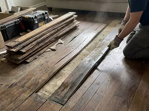 Water Damage Drying in Ball Ground