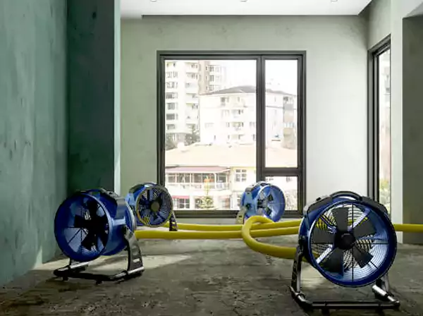 Water Removal Services in Ball Ground