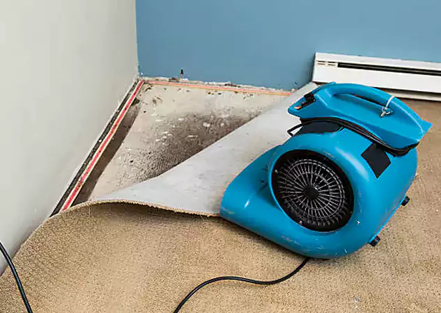 Your Water Damage Experts in Ball Ground, GA