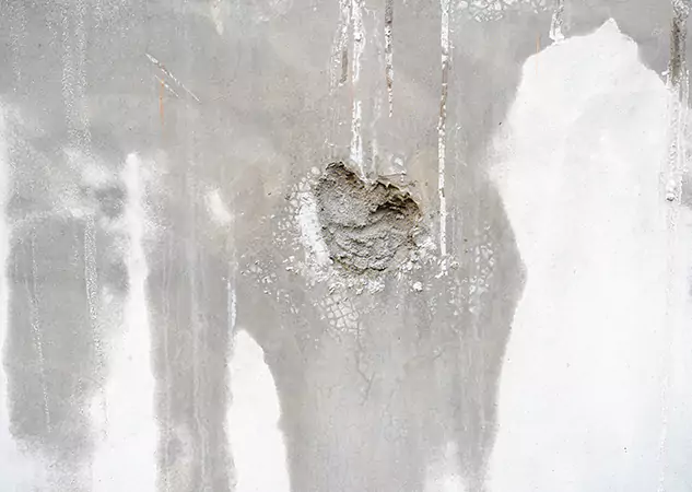 Your Mold Mitigation Solutions Partner in Ball Ground, GA