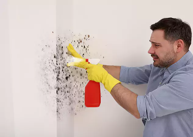 Your Water Mold Fire Restoration Partner in Ball Ground, GA
