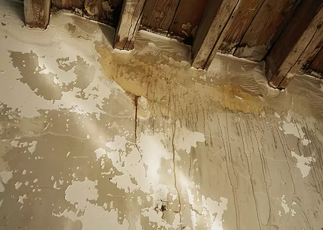 Your Trusted Restoration Company in Ball Ground, GA