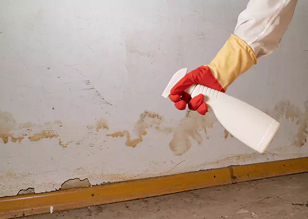 Your Water Restoration and Mold Remediation Specialists in Ball Ground, GA