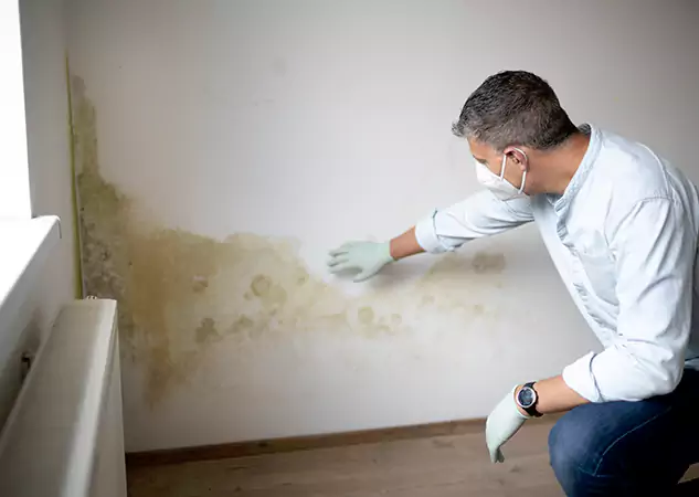 Reach Our Remediation Team Before Damage Grows in Ball Ground, GA!