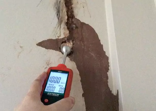 Your Water Damage Assessment Partner in Ball Ground, GA