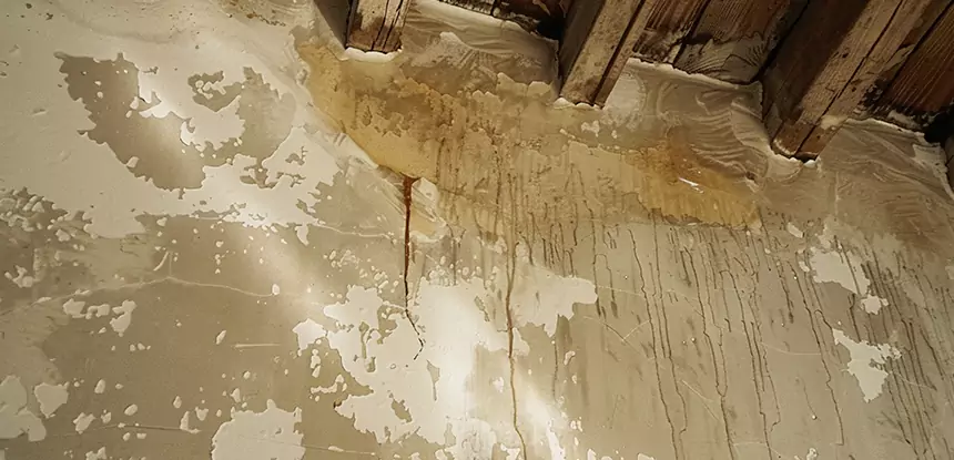 Professional Attic Water Damage Repair Services in Ball Ground, GA
