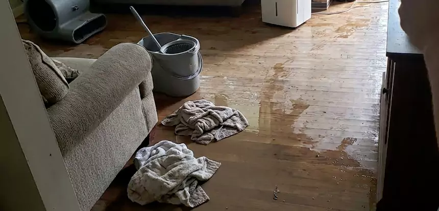 Professional Basement Water Remediation Services in Ball Ground, GA