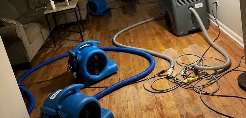 Basement Flood Restoration Services in Ball Ground