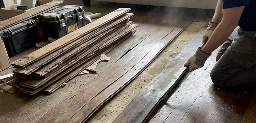 Wood Rot and Fungus Repair in Ball Ground