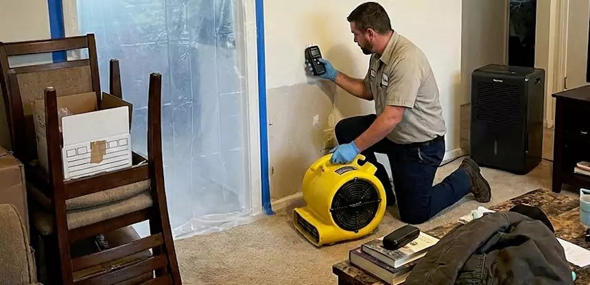 Carpet Water Damage Repair Ball Ground