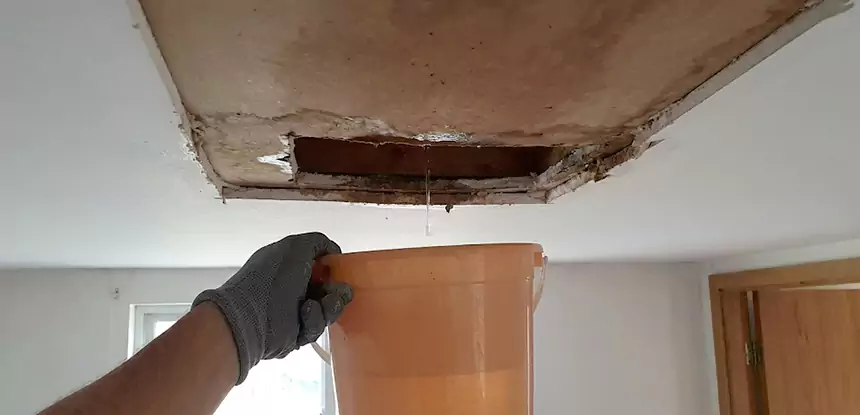 Ceiling Mold Repair Ball Ground