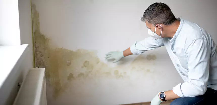 Mold and Water Damage Repair in Ball Ground
