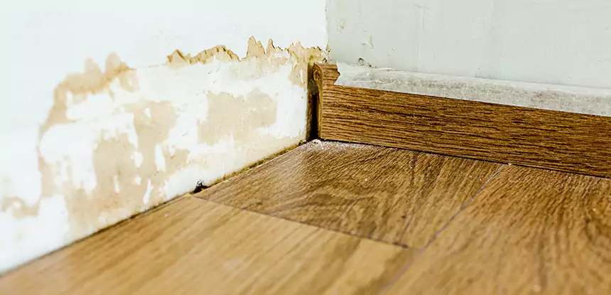 Professional Fix Water Damaged Wood Services in Ball Ground, GA