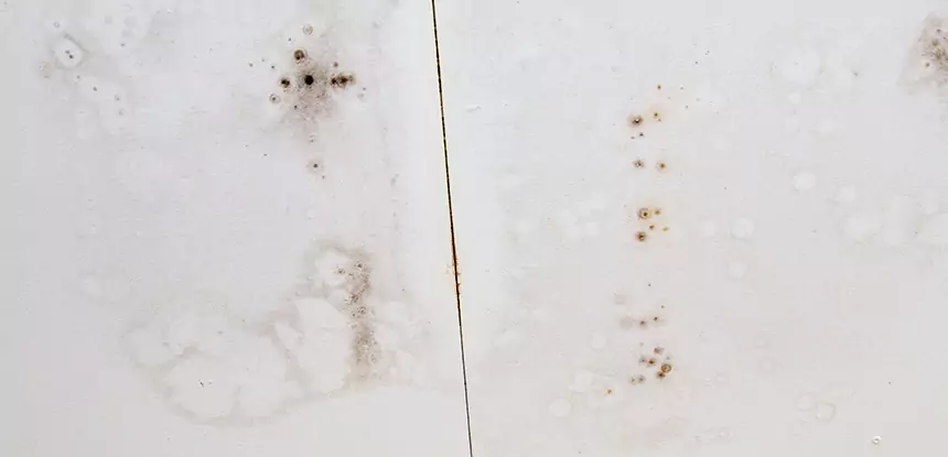 Professional Water Stain Repair Services in Ball Ground, GA