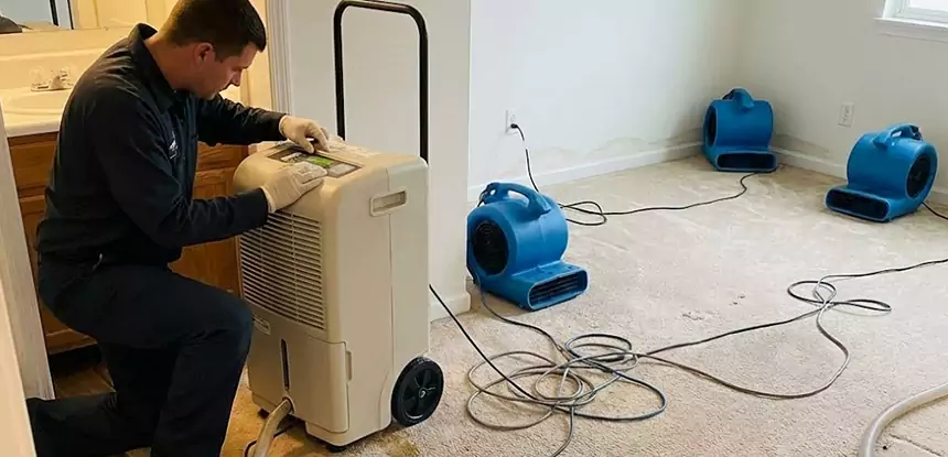 Professional Wet Carpet Removal Services in Ball Ground, GA
