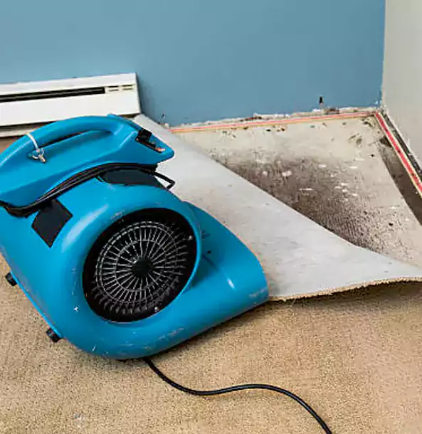 Why Ball Ground Trusts Ball Ground Restoration Pro for Carpet Flood Recovery?