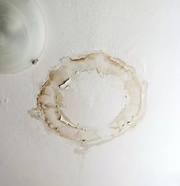 Why Ball Ground Property Owners Choose Ball Ground Restoration Pro for Ceiling Water Damage Restoration?
