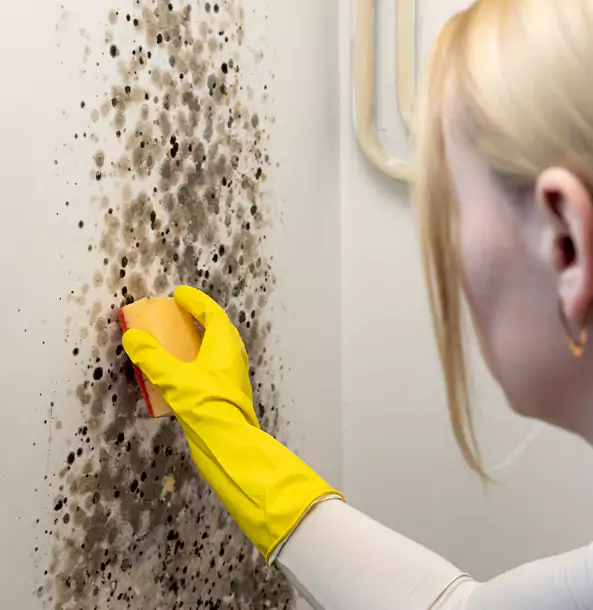Why Ball Ground Restoration Pro Leads Mold Remediation in Ball Ground?