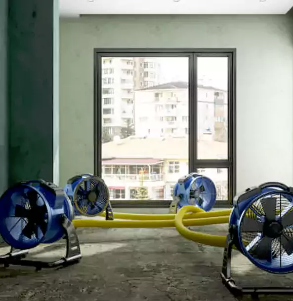 Why Ball Ground Property Owners Trust Ball Ground Restoration Pro for Water Damage Drying?