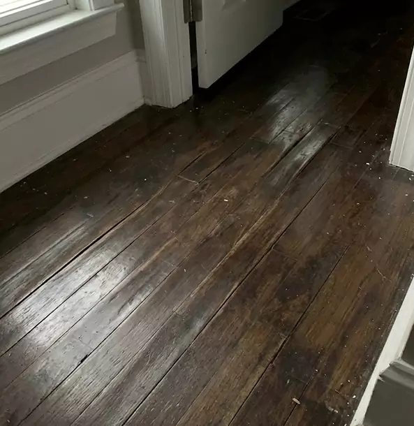 Why Ball Ground Homeowners Trust Ball Ground Restoration Pro to Fix Water Damaged Wood?