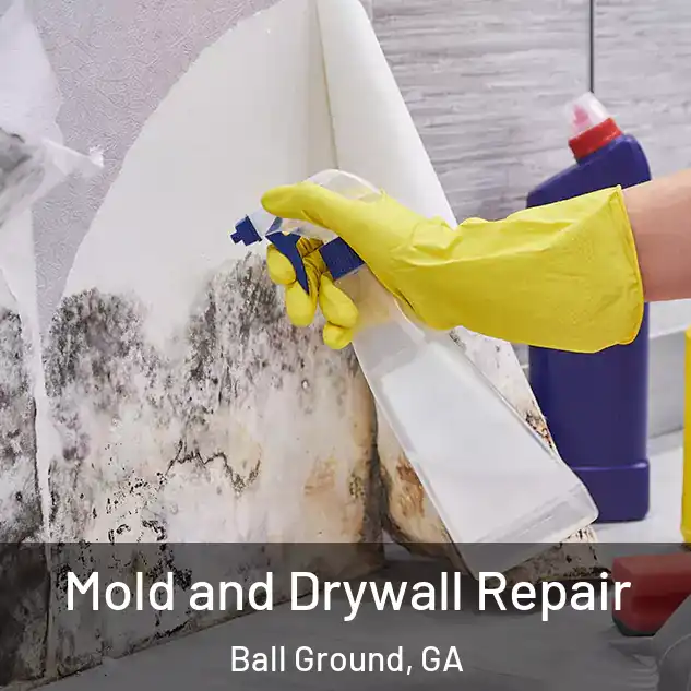  Mold and Drywall Repair Ball Ground, GA