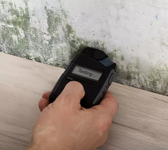 Mold Remediation Service Ball Ground