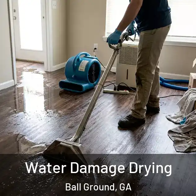  Water Damage Drying Ball Ground, GA