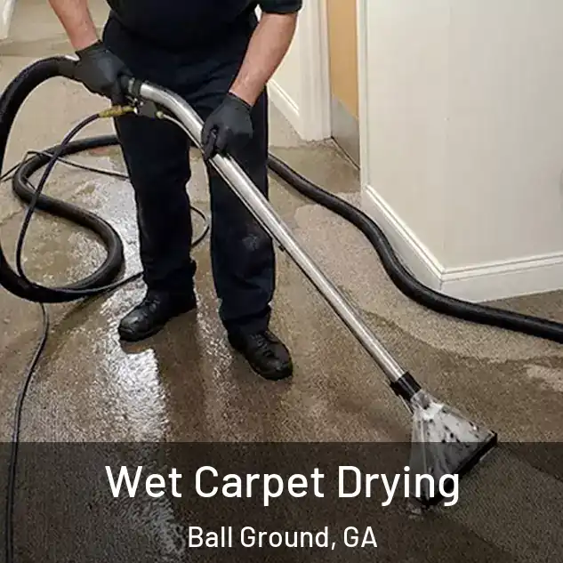  Wet Carpet Drying Ball Ground, GA