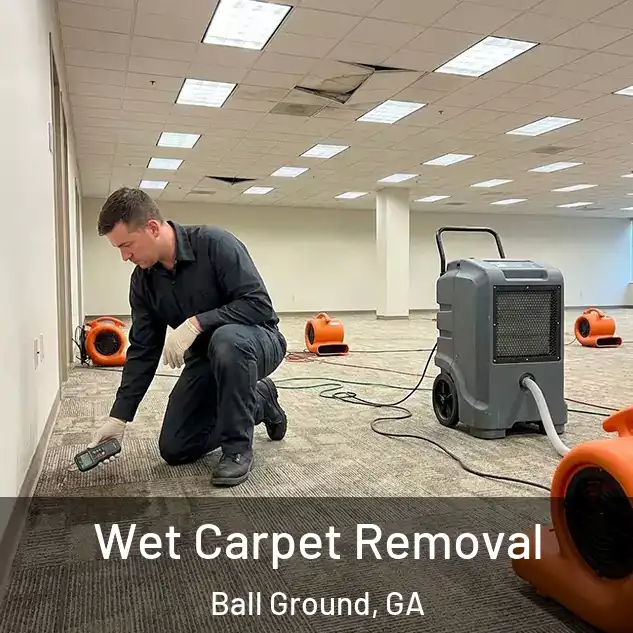  Wet Carpet Removal Ball Ground, GA